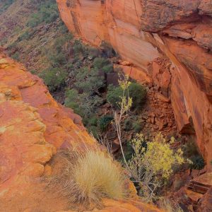 Kings Canyon from the Rim Walk on our Central Australia Red Centre Tour