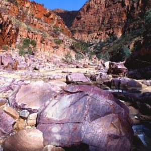 Geological formations of Ormiston Gorge on the Central Australia Red Centre Tour