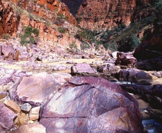 Massive geological forces sliding, bending and cracking the earth have created the colourful wonder of Ormiston Gorge with huge boulders breaking free into the creek and water holes below