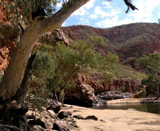 The popular Ormiston Gorge waterhole   which attracts tourists and wildlife alike at different times of the day is up to 14 metres deep. But how many tourists explore the full beauty of the gorge beyond the swimming hole? 