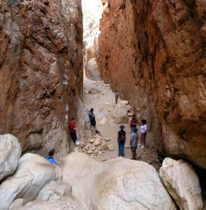 Standley Chasm on a Central Australia Red Centre Tour