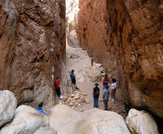 Standley Chasm, home to rare cycad plants and agile rock wallabies was a place for women only in the traditional Arrernte Aboriginal community. Here they harvested bush medicines and performed sacred rites. The chasm turns a blaze of colour each mid-day
