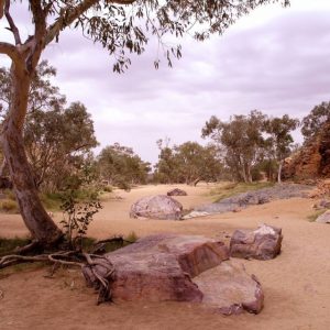 Jessie Gap water course on our Central Australia Red Centre Tour