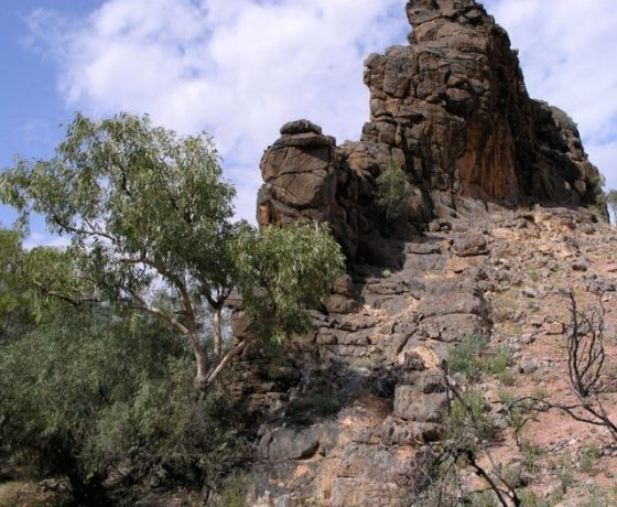 A dolomite column laid down in a salty lake 800 million years ago, Corroboree Rock is of ceremonial significance to the East Arrernte People