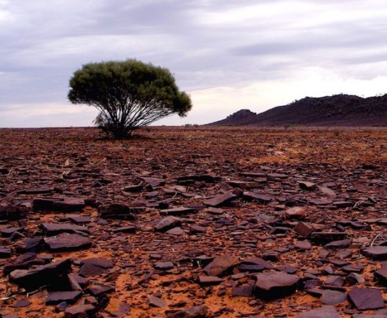 Break-away desert of stone traversed on the way to Chambers Pillar, adding variety to Australia's selection of sandy, gibber and stony deserts