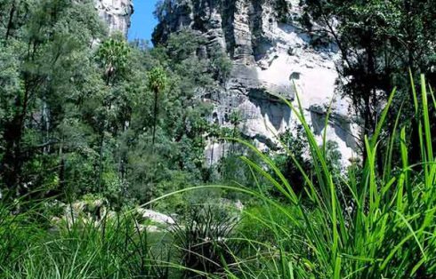 Carnarvon Gorge feature of our Australia National Parks Tour