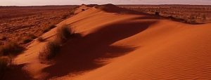 Big Red sand ridge on edge of the Simpson Desert