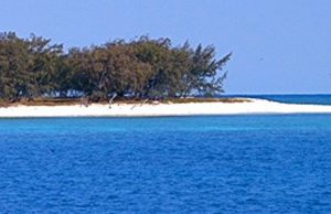Lady Musgrave Island outback to reef tour