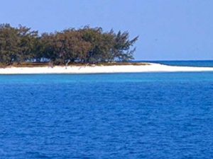 Lady Musgrave Island on our Outback Queensland and Great Barrier Reef Tour