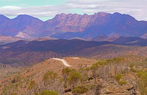 Road leading into the Flinders Ranges