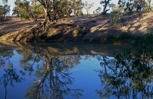 Banks of the Darling River near Menindee