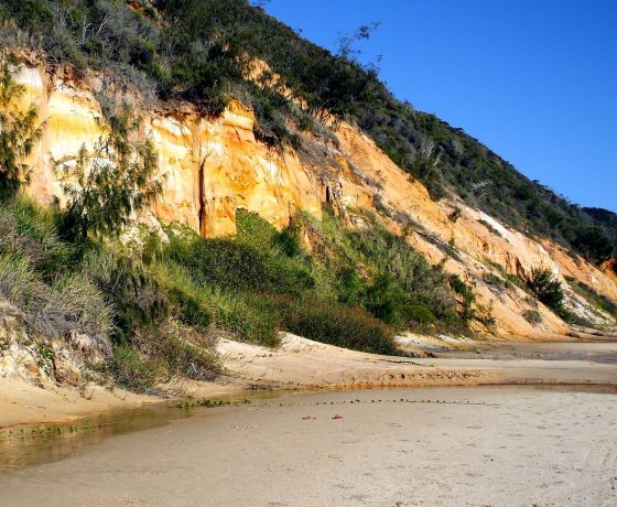 A 4WD day safari to world heritage Fraser Island opens with a beach journey beside nature's gallery of multi-coloured sand cliffs