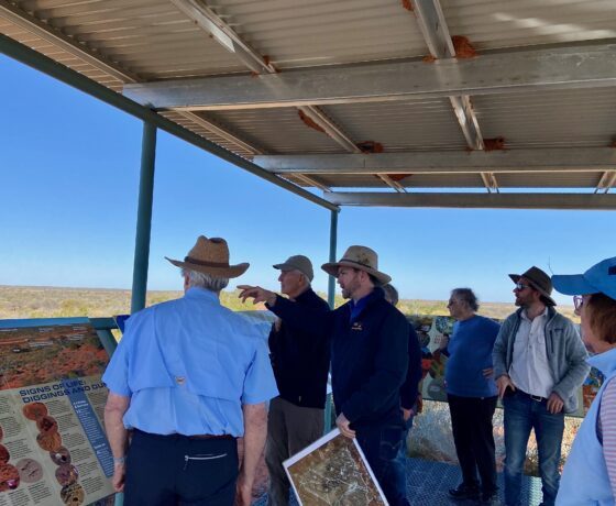 Learning about the Wild Deserts Project and re-populating locally extinct desert animals