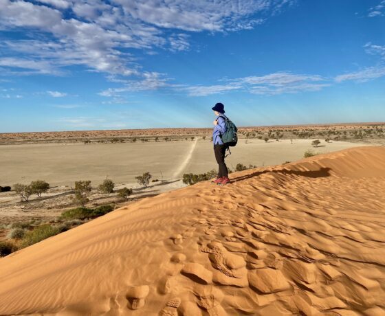 Top desert view from Simpson Desert's "Big Red"