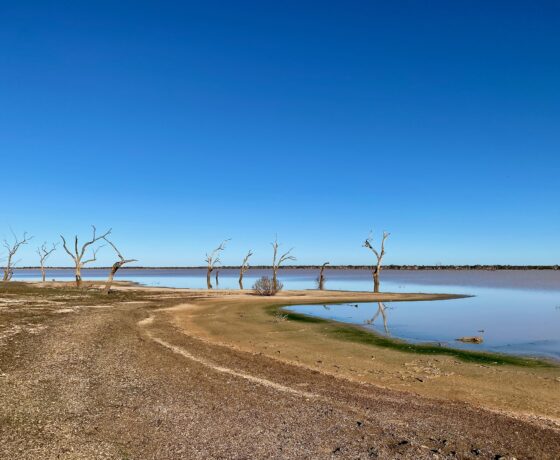 Wilderness Desert Lake Pinaroo. International Ramsar Site for thousands of migrating birds