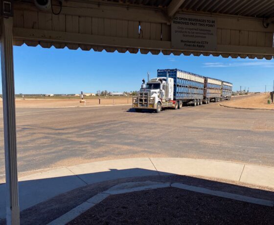 Cattle Road Train rolling into Birdsville from a desert station
