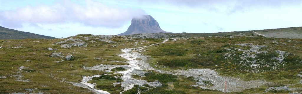 Trail to Barn Bluff typical of trails on Guided walking holidays Australia