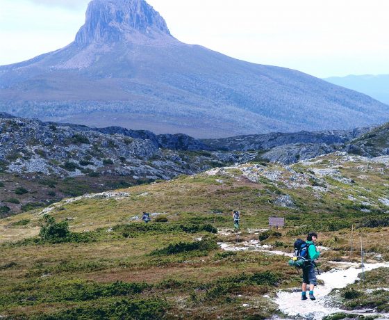 Family of walkers on overland track leave Cradle Mountain for Barn Bluff