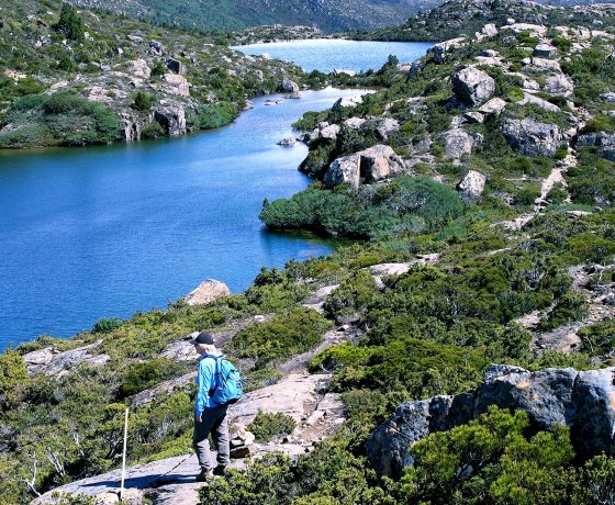 Alpine boulder field is home to the beautiful Tarn Shelf in Mt Field National Park