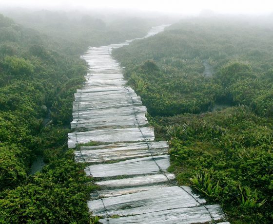 The alpine boardwalk of Hartz Mountains is shrouded in cloud but later surrounding peaks and pristine hidden lakes will be revealed - the magic of it all