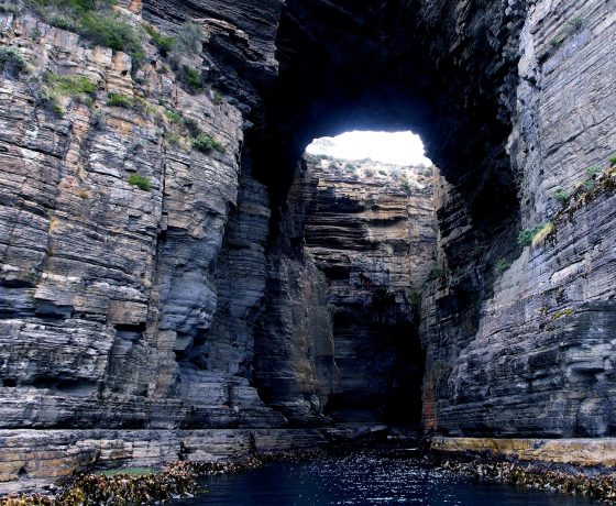 Blow holes, caverns and the Tasman Arch have resisted the forces of the Tasman Sea for centuries