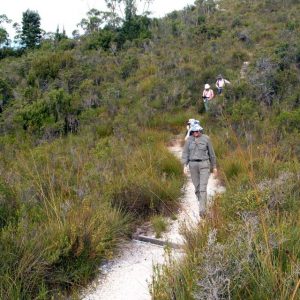 Tour group descending Mt Eliza on our Australian Guided Walking Holidays