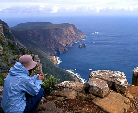 Contemplate the spectacle of Cape Raoul's 300m high cliffs in Tasman National Park defying forces of the great southern ocean