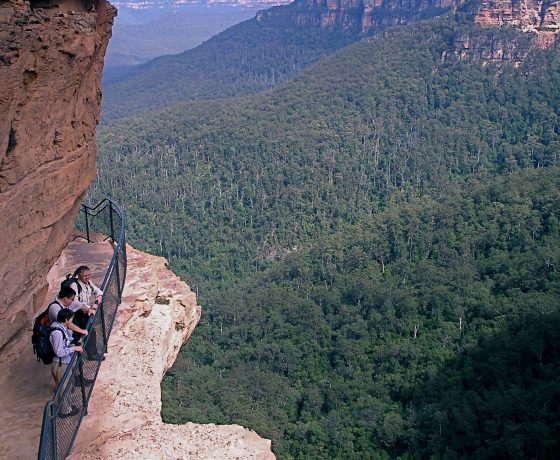 Spectacular walking on cliff face trails of the Greater Blue Mountains provides a deep insight into the wilderness below