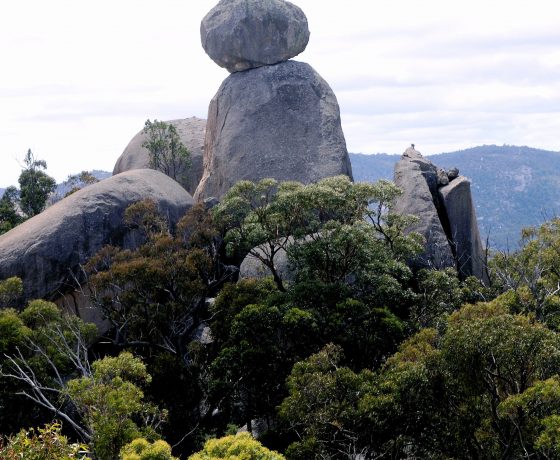 Formed trails lead to a number of curious granite features in the Girraween National Park, including this The Sphinx plus Castle Rock and The Pyramids 
