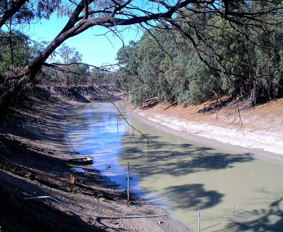 Once the river highway for 200 paddle steamers, the Darling River is still a legendary waterway and focus for outback NSW adventure travel. Flood plains are up to 70kms wide