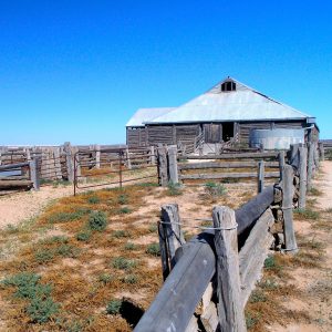 Mungo Woolshed visited on our Big River Outback NSW Tour