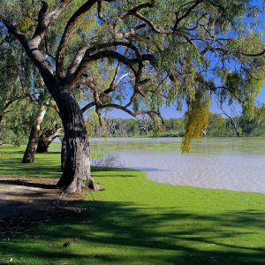 Menindee Lakes on our Darling River Run and Outback NSW, Mungo Lake tour