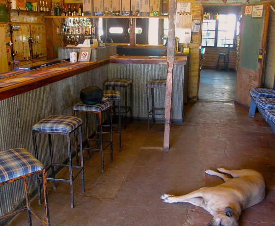 The Tilpa Pub made of corrugated iron exhibits the dry wit of bush people and has a menu to match. It sits by the banks of the Darling River 