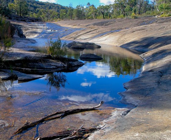 Bald Rock Creek flows over extensive granite slabs to The Junction located at the end of an easy formed walking trail