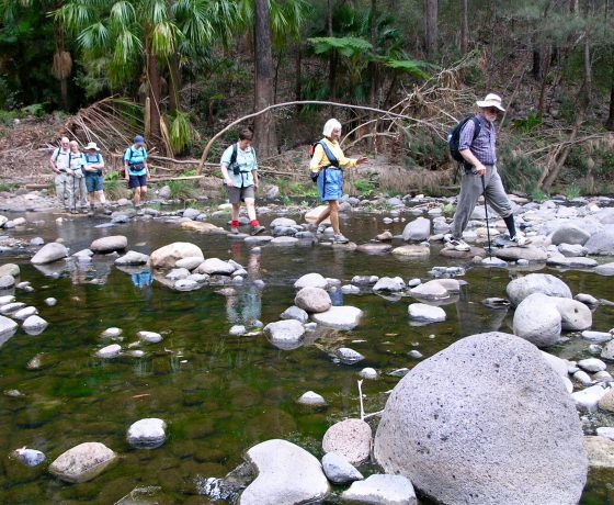 A sense of joy and adventure washes over our guests as they rock hop across one of many creek crossings in Carnarvon Gorge