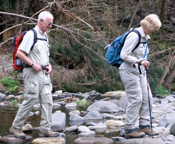 A visit to Carnarvon Gorge will be remembered for  the joys of rock hopping the many creek crossings as you explore the gorge, feet first