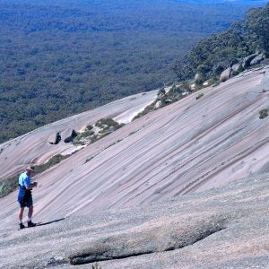 Walker exploring slopes of Bald Rock on our Australian World Heritage Gondwana Tour