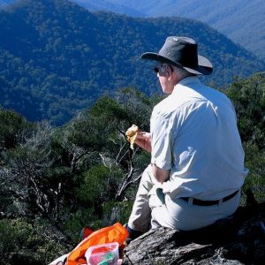 Guest having lunch with a wilderness view on the Australian World Heritage Gondwana Tour