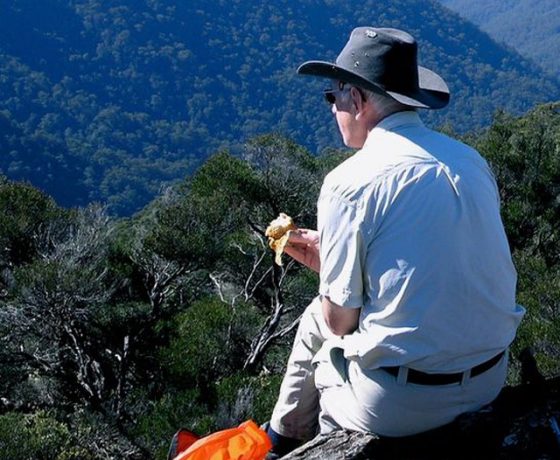 A wild idea for lunch. A good walk, tasty treats, a solid rock from which to ponder expansive thoughts