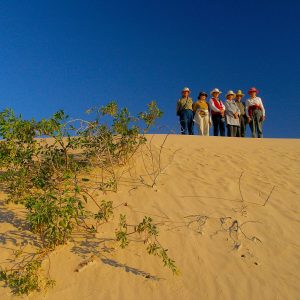 Tour group on Mungo Dune, during Big Rivers Outback NSW Tour