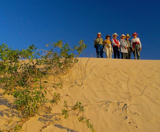 Mungo National Park offers a landscape of Salt Bush, Mallee Woodland and wonderful dunes on which to roam