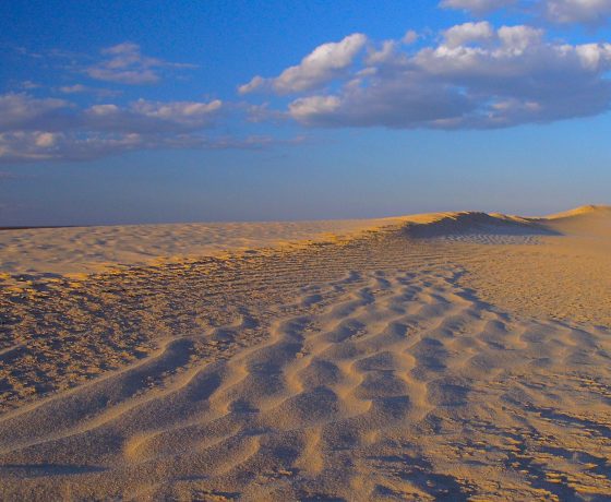 The lunette dunes of Lake Mungo are adorned with ripples given the presence of prevailing breezes