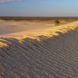 Wind-crested dune at Lake Mungo on our Big Rivers Outback NSW Tour