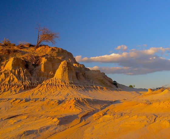 Where receding dunes have revealed the burial sites of our First Peoples dating back more than 50,000 years, the Mungo Lake lunette of dunes makes for fascinating exploring