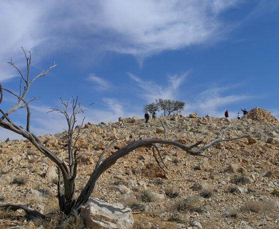 It is here explorer Charles Sturt and his men, searching for an inland sea were halted by severe drought. Therapy involved building a stone cairn which eventually became a memorial to James Poole, the expedition 2IC, who perished