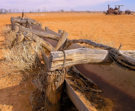 Relics of the once productive sheep station, Mt Wood Station remain a fascinating study while the property has been returned to nature in the form of Sturt National Park