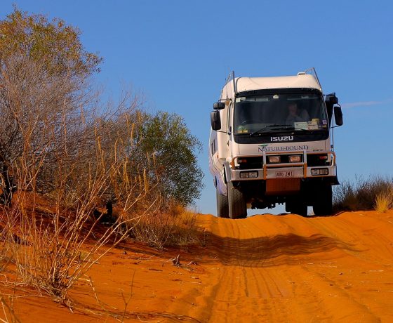 Naturebound 4WD bus crossing the Strzelecki Desert en route to the isolated outpost of Innamincka