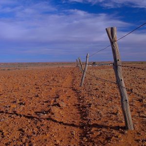 Gibber plains and fence line of Epsilon Station on Corner Country Outback Tour