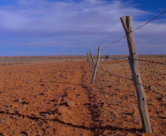 Harsh as it may appear with little grazing cover or timber for fencing, Epsilon Station is a thriving organic beef  producer