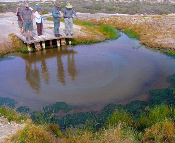 Ground water discharge in the desert from The Great Artesian Basin, the world's largest and oldest ground water system housing endemic species, sacred and cultural significance to Aboriginal communities